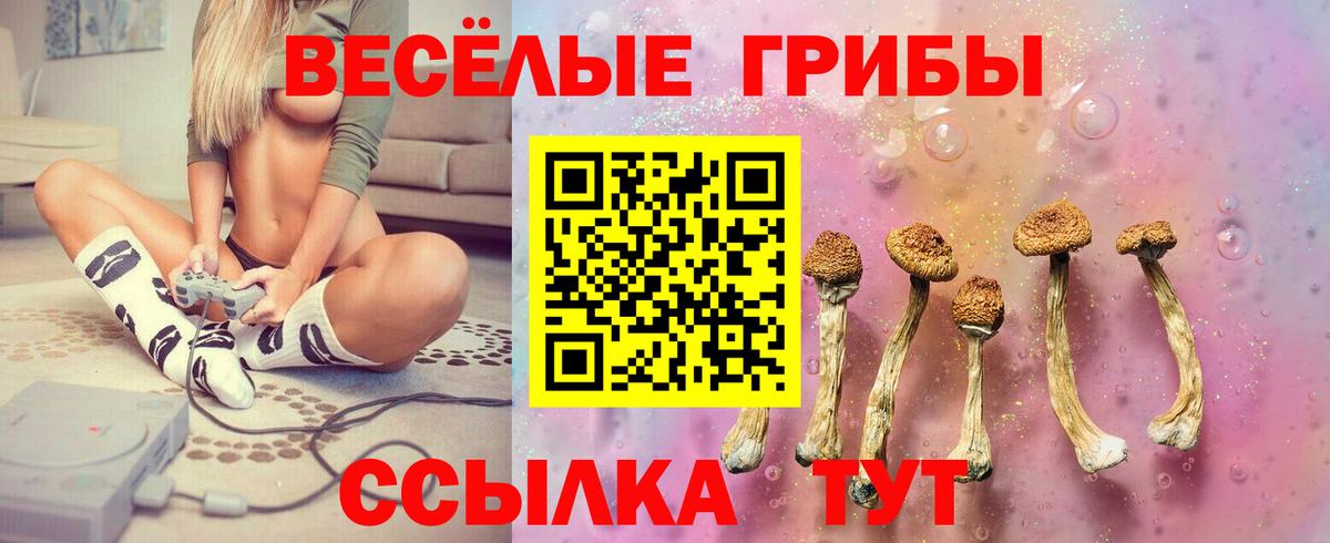 Псилоцибиновые грибы Psilocybine cubensis  Вход с VPN  Галлюциногенные грибы Psilocybine cubensis  Мариинск 